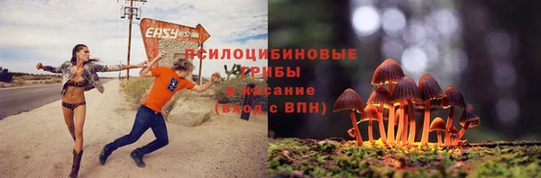 МДПВ Новокубанск