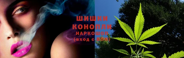 МДПВ Новокубанск