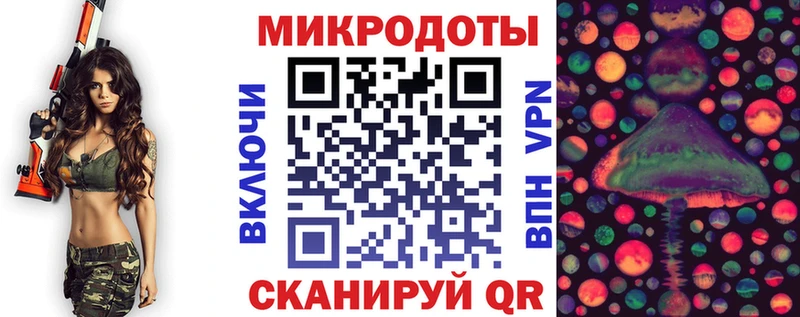 Псилоцибиновые грибы Cubensis Давлеканово